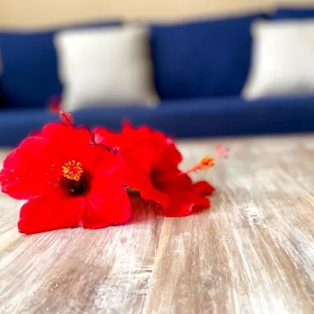Odi's House * קורלחו